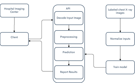 Complete flow diagram of the study